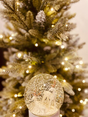 Snow Globe and Christmas Tree