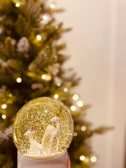 Snow Globe and Christmas Tree