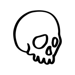  ilustration of skull 