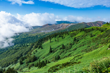 Obraz premium Spectacular view of Mt. Shirane in summer from Shibu Pass, Shiga Kogen.