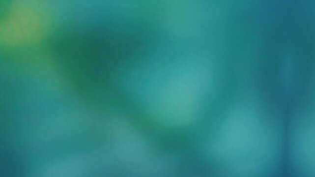 abstract green background with bokeh and lighting 