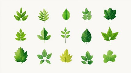 Fototapeta premium 43.Concept 3: Green leaf icon. Leaf icon on white background. Collection of leaf illustrations. Element design for natural, eco-friendly, recycling bio labels