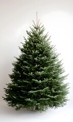 Fototapeta premium christmas tree with no decorations on a white background, Generative AI