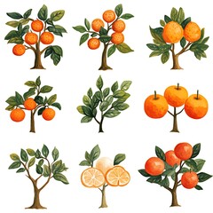 Collection of Watercolor Orange Trees Nine Unique Botanical Illustrations of Citrus Trees with Vibrant Oranges and Lush Green Leaves.