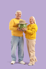 Mature couple with watermelon in straw hat on lilac background