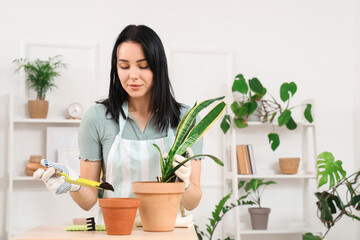 Beautiful young woman with gardening tools transplanting houseplant at home