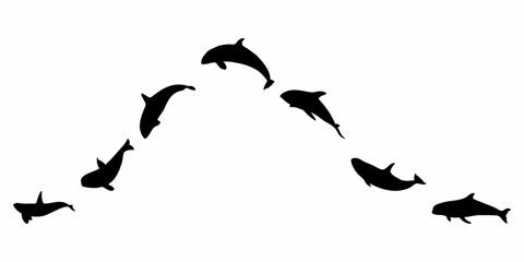 black silhouette of orca whale
