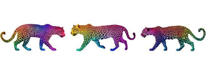 Colorful Rainbow Leopard Silhouette on Transparent Background