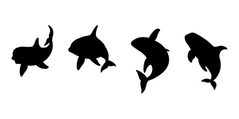 black silhouette of orca whale