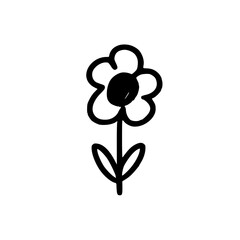 The Exquisite Elegance of Crinum Amaryllis Blooms A Visual Celebration of the Unique, Fresh, and Delicate Beauty of White and Pink Flowers in Full Splendor