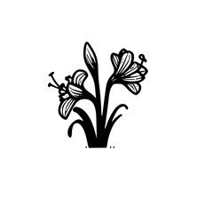 The Exquisite Elegance of Crinum Amaryllis Blooms A Visual Celebration of the Unique, Fresh, and Delicate Beauty of White and Pink Flowers in Full Splendor