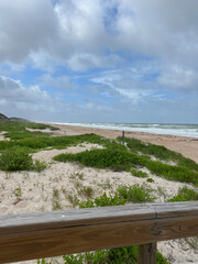A sandy dune landscape with vibrant greenery and a wooden railing in the foreground, leading to a...