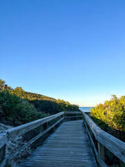 Fototapeta premium A wooden boardwalk leads through lush greenery to an open view of the ocean, under a clear, vibrant blue sky, creating a peaceful and scenic nature escape.