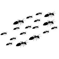 ant animal icon vectors illustration symbol design