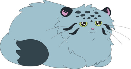 cute wild cat manul smiles contentedly and sits in loaf pose