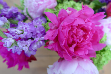 A vibrant close-up of pink and purple flowers with green accents, showcasing intricate petal details and a soft focus background for a fresh, natural aesthetic.