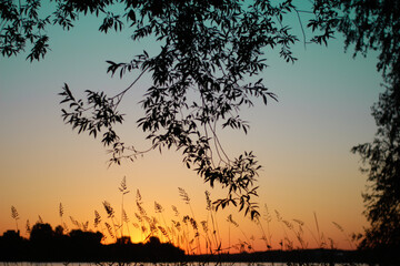 Beauty of the sunset