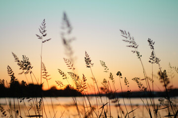 Thrifting in the wind