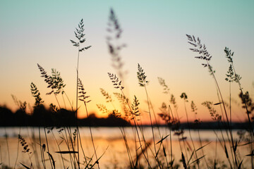 Abendliche Silhouetten