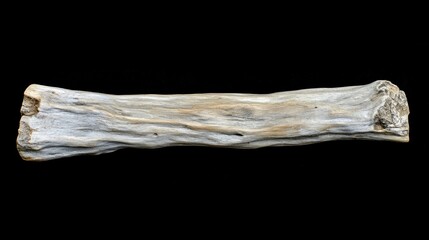 Weathered Driftwood Piece Isolated on Black Background