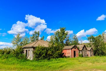 Obraz premium A small group of old houses sit in a grassy field