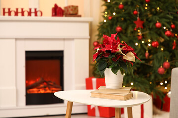 Christmas flower poinsettia with books on table in living room. Closeup