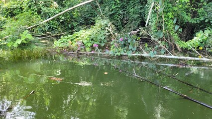 Santuario natural de vida