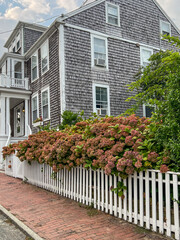 A historic shingle-style house framed by blooming hydrangeas and a white picket fence along a brick sidewalk under a bright sky.