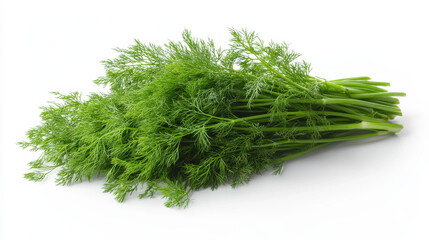 Fresh dill herb with vibrant green leaves, perfect for culinary use and garnishing dishes. Its aromatic flavor enhances various recipes, making it popular choice in kitchens