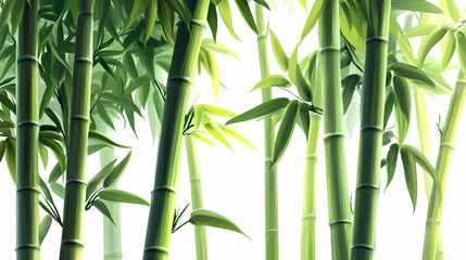 Serene bamboo forest, nature background wallpaper, anime illustration drawing. Thicket. Illustration
