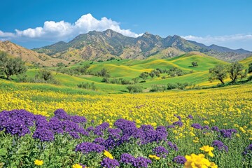 Spring Wildflowers and Mountains