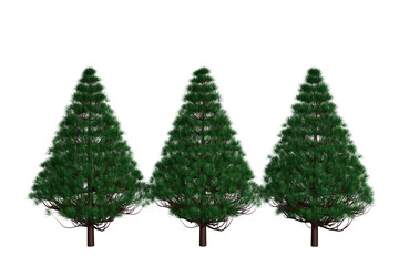 green christmas tree