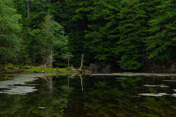 霧の晴れた朝に静かに森の影を映すみどり池