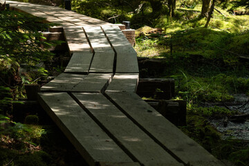Fototapeta premium 北八ヶ岳の湿地を跨ぐ木道でできた登山道
