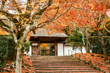 晩秋の京都 安楽寺の紅葉　Autumn leaves at Anrakuji Temple in Kyoto in late autumn