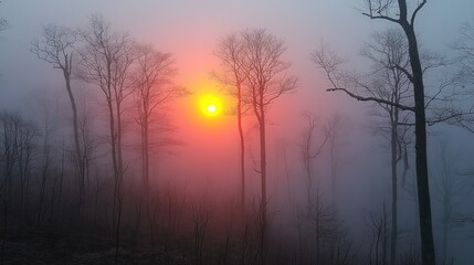 Fototapeta premium Misty forest sunrise with bare trees and vibrant red sun.