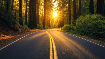 Obraz premium Sunset Drive Through Redwood Forest: A Journey into Golden Light