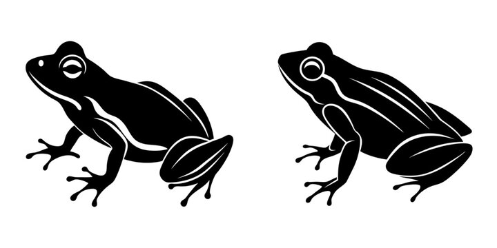 Frog vector silhouette