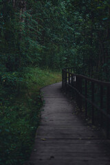 A wooden boardwalk winds through a lush, shaded forest, enveloped in greenery and creating a serene, peaceful pathway through dense vegetation in a natural setting