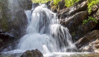 Obraz premium Crystal Clear Waterfall Cascading Over Jagged Rocks in Hidden Forest Valley
