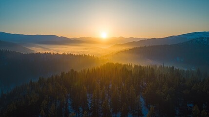 Fototapeta premium Majestic forest landscape shot from high altitude under the golden glow of the sun, capturing the vibrant colors of trees and the expansive natural scenery. Perfect for nature and outdoor enthusiasts.