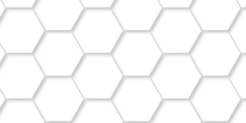 Abstract pattern with hexagonal white and gray technology line paper background. Hexagonal 3d vector grid tile and mosaic structure mess cell. white and gray hexagon honeycomb geometric copy space.