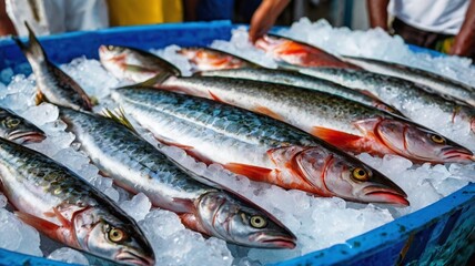 Fresh fish on ice at a fish market, guadeloupe, french west indies- pointe-a-pitre, grand-terre, guadeloupe, france