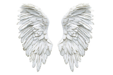 Obraz premium White Wings Spread Gracefully Isolated on PNG Transparent Background