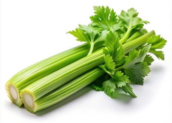 Fresh, isolated celery. High-resolution images showcase vibrant green stalks ideal for your designs.