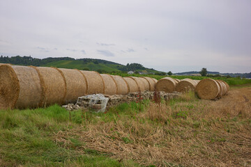 Farming barn