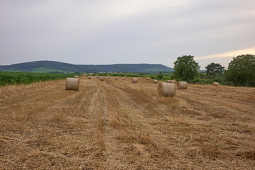 Farming barn