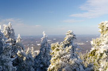 Majestic winter landscape of Mount Monadnock in New Hampshire showcases frost-covered trees against a clear sky