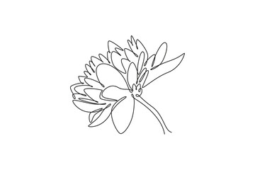 Continuous one line drawing of beauty fresh chrysanthemum garden logo. Printable decorative mum flower concept for home decor wall art poster print. Single line draw design vector graphic illustration
