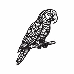parrot outline vector art black color.